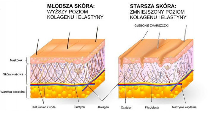 Facial Renew